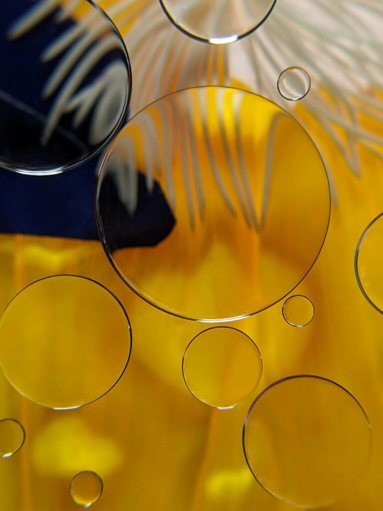 Edible Oil Edible Oil Refinery and Bottling